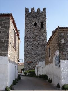 Politika Watchtower