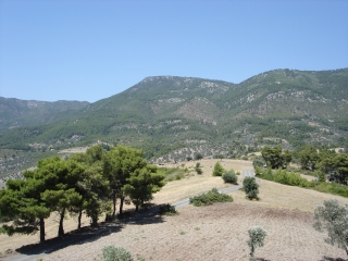 View to NE