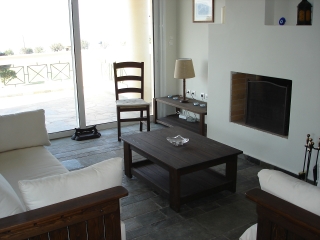 The fireplace and living area