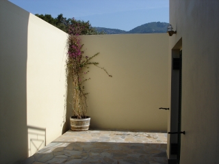 The Bougainvillea in the courtyard