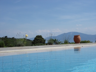 The View from the Pool