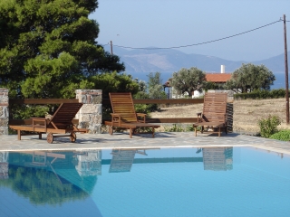 The Pool