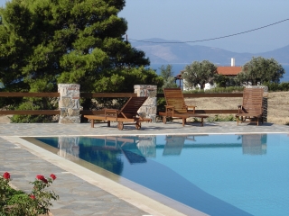 The Pool