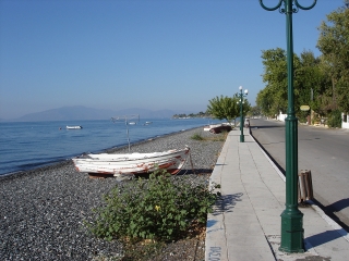 Politika Seafront