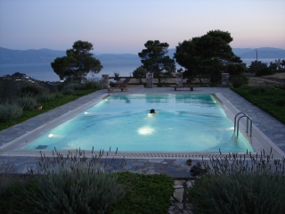 Swimming in the Evening