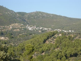 View to Nerotrivia